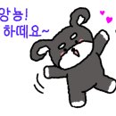 (사)금남시장 이미지