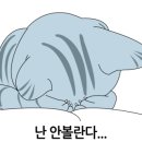 즐거운 동물병원 이미지