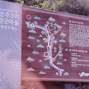 심원펜션 이미지