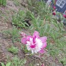 죠이월드 이미지