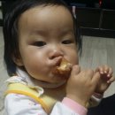 원조할매보쌈족발 이미지