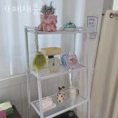안양 관양동 카페 카페채움 업체 정보 후기