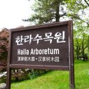 제주시 관광지 제주 한라수목원과 근처 맛집, 수목원길 야시장 방문 후기