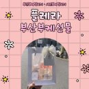 동평로 | [공지] [부산/부산진] 플레라ㅣ부산부케말리기·서면부케말리기·부산부케선물 솔직 후기