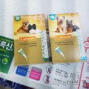 나누리약국 네이버블로그