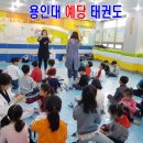 용인대 예당 태권도장 이미지