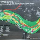 숲속에 우산정원 | 서울 가볍게 산책하기 좋은 남산 한국숲정원(feat 하늘숲길)