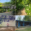 수국수집 | 당진 아미미술관 주차 운영시간 입장료 카페 6월 수국 방문 후기