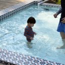 블랙트리하우스 이미지