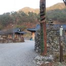 이필수 농장 Daum카페