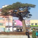 김천역 이미지