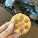 연화통팥 이미지