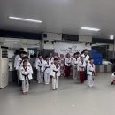 경희대 품희 태권도장 이미지