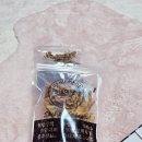 참콩떡집