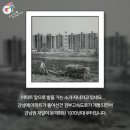 신사동의 추억 이미지