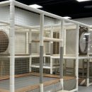 채선당자연한가득 김해점 이미지