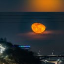 절친(切親)을 생각해 보는 시간 이미지