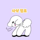 행복한마라탕 본점 | 압구정 마라탕 마르르 본점 강아지 동반 가능 식당