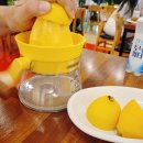 할매닭발 | 제주 연동 맛집 찾는다면? 진짜 할매닭발 직영점 후기