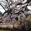 (주)나루건설 이미지