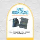 스윙밸런서
