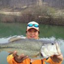 양촌주유소 이미지