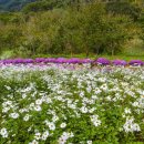 운암공원 이미지