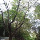 신청평주유소 | 경기둘레길 23코스 (2022.9.9.)