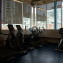 브라운 휘트니스 이미지