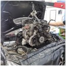 엠벡스 모터스 이미지