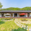 힐링 펫 카페 이미지