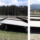 화산 태양광발전소 이미지