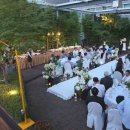 베스트웨스턴 프리미어 강남호텔 이미지