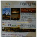 아트쉐어