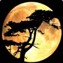 돈마니마니 이미지