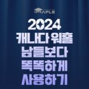 덴탈메이플 이미지