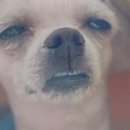 청춘한약국 이미지