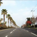 효돈동-7 이미지