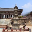 보불로(서) 이미지