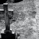 갈멜목장 이미지