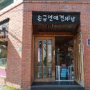 손금선애견세상