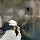 티켓투더문 이미지