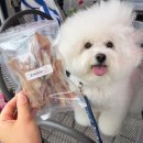 포에버퍼피 이미지