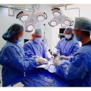 완도동물병원 이미지