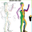 닥터코르셋 이미지