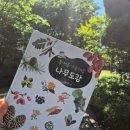 진선1공원 이미지