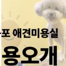 놀러오개 영등포점 네이버블로그