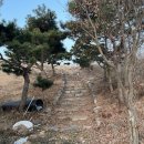 화완옹주 및 정치달 묘 이미지