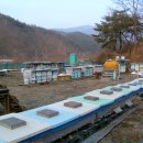 약수골 농장 이미지