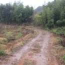 달그리고강 이미지